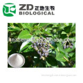 High quality Ligustrum Lucidum Powder / Glossy Privet Fruit Extract in sale